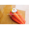 vietnam new fresh carrot best price and the top quality
